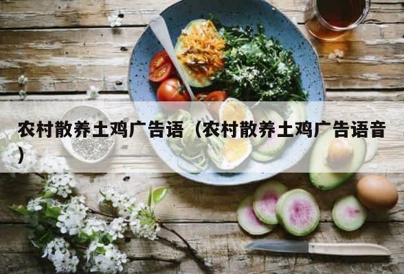 农村散养土鸡广告语（农村散养土鸡广告语音） 第1张