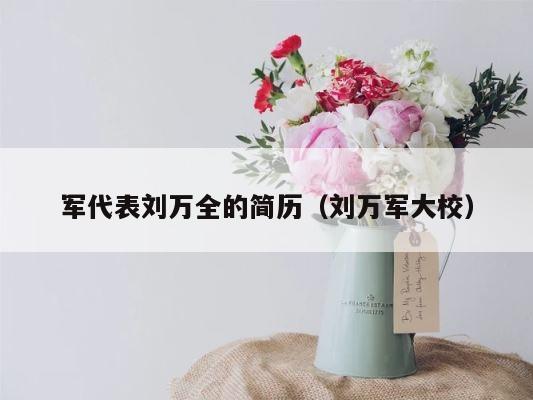 军代表刘万全的简历（刘万军大校） 第1张