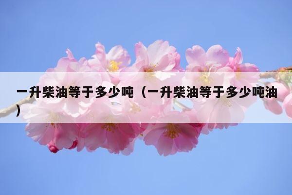 一升柴油等于多少吨（一升柴油等于多少吨油） 第1张