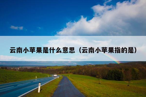 云南小苹果是什么意思（云南小苹果指的是） 第1张