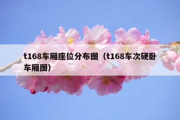 t168车厢座位分布图（t168车次硬卧车厢图） 第1张