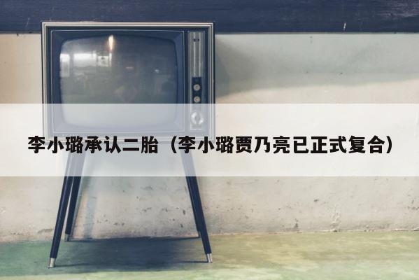 李小璐承认二胎（李小璐贾乃亮已正式复合） 第1张
