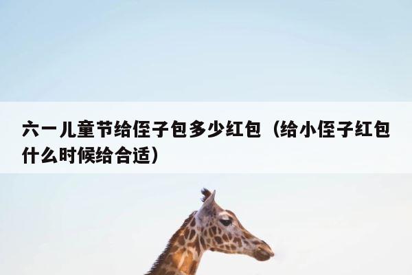 六一儿童节给侄子包多少红包（给小侄子红包什么时候给合适） 第1张