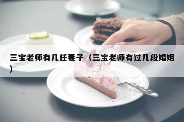 三宝老师有几任妻子（三宝老师有过几段婚姻） 第1张