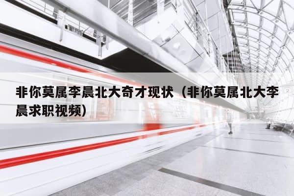 非你莫属李晨北大奇才现状（非你莫属北大李晨求职视频） 第1张