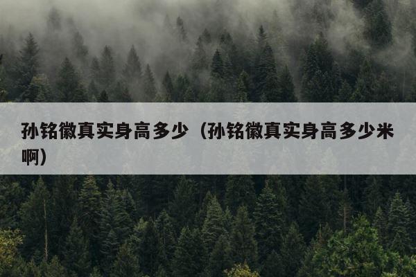 孙铭徽真实身高多少（孙铭徽真实身高多少米啊） 第1张