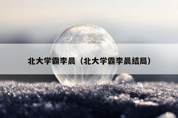 北大学霸李晨（北大学霸李晨结局） 第1张