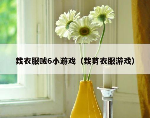 裁衣服贼6小游戏（裁剪衣服游戏） 第1张