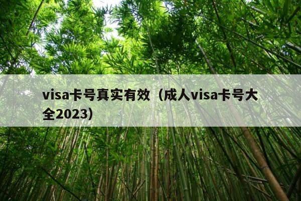 visa卡号真实有效（成人visa卡号大全2023） 第1张