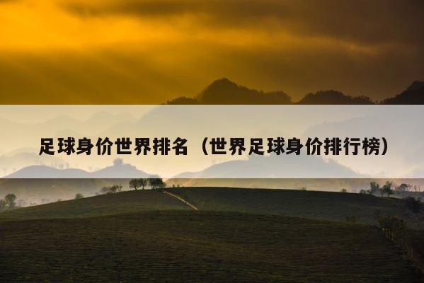足球身价世界排名（世界足球身价排行榜） 第1张