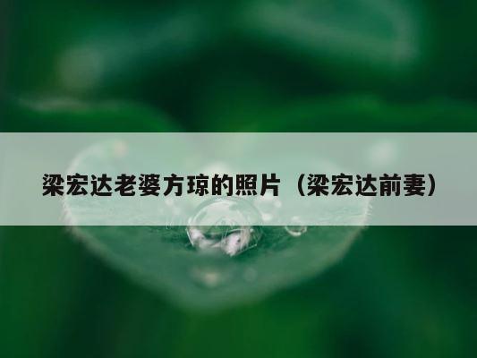 梁宏达老婆方琼的照片（梁宏达前妻） 第1张