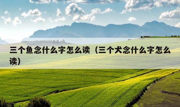 三个鱼念什么字怎么读（三个犬念什么字怎么读） 第1张