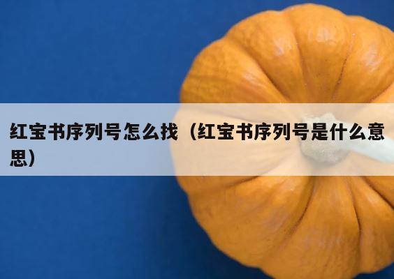红宝书序列号怎么找（红宝书序列号是什么意思） 第1张