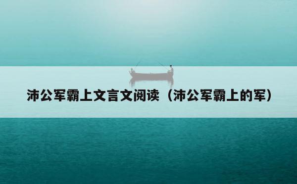 沛公军霸上文言文阅读（沛公军霸上的军） 第1张