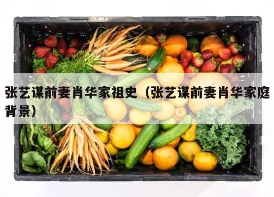 张艺谋前妻肖华家祖史（张艺谋前妻肖华家庭背景） 第1张