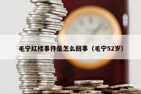 毛宁红楼事件是怎么回事（毛宁52岁） 第1张