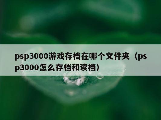 psp3000游戏存档在哪个文件夹（psp3000怎么存档和读档） 第1张
