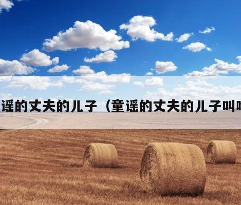 童谣的丈夫的儿子（童谣的丈夫的儿子叫啥） 第1张