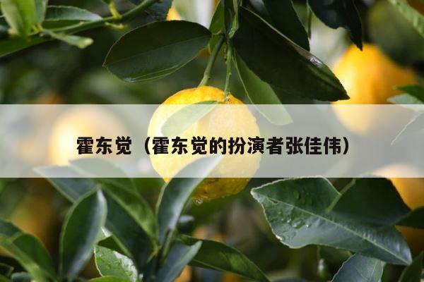 霍东觉（霍东觉的扮演者张佳伟） 第1张
