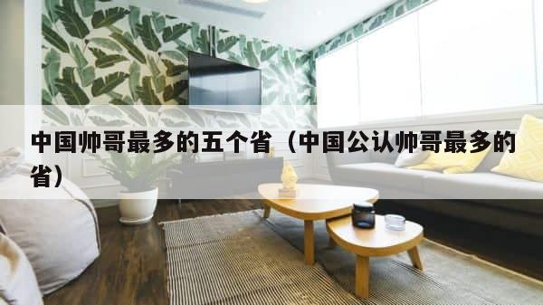 中国帅哥最多的五个省（中国公认帅哥最多的省） 第1张