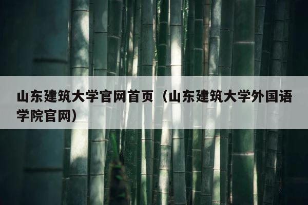 山东建筑大学官网首页（山东建筑大学外国语学院官网） 第1张