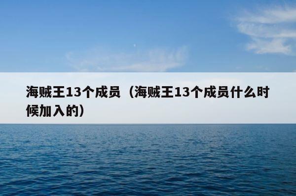 海贼王13个成员（海贼王13个成员什么时候加入的） 第1张