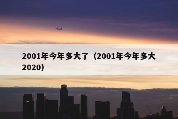 2001年今年多大了（2001年今年多大2020） 第1张