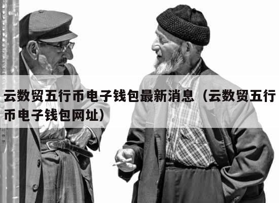 云数贸五行币电子钱包最新消息（云数贸五行币电子钱包网址） 第1张