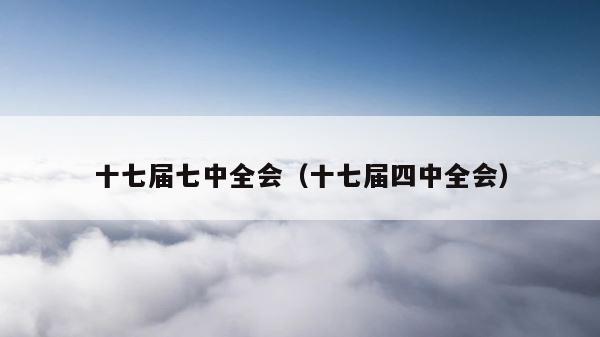 十七届七中全会（十七届四中全会） 第1张