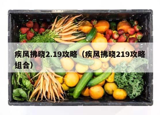 疾风拂晓2.19攻略（疾风拂晓219攻略组合） 第1张