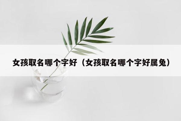 女孩取名哪个字好（女孩取名哪个字好属兔） 第1张