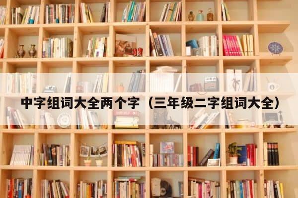 中字组词大全两个字（三年级二字组词大全） 第1张