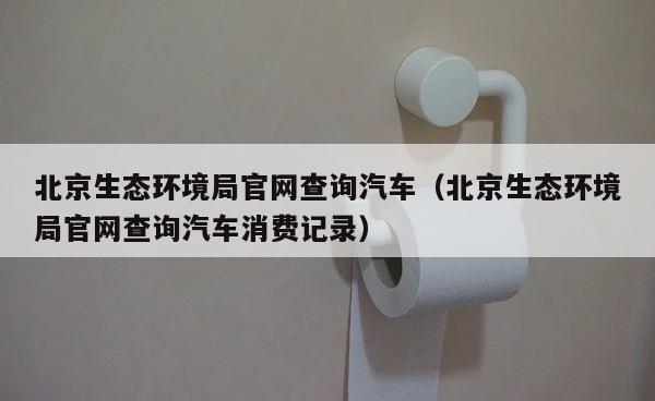 北京生态环境局官网查询汽车（北京生态环境局官网查询汽车消费记录） 第1张