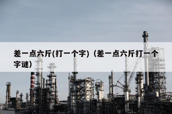 差一点六斤(打一个字)（差一点六斤打一个字谜） 第1张