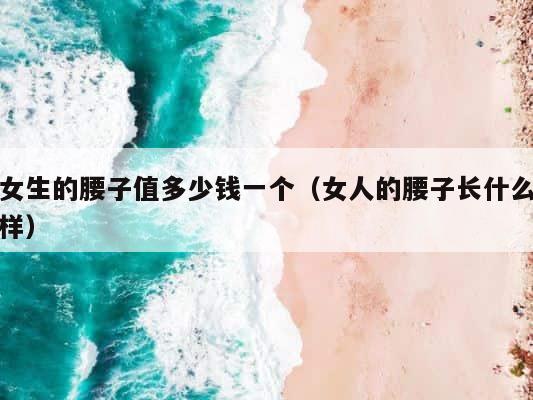 女生的腰子值多少钱一个（女人的腰子长什么样） 第1张