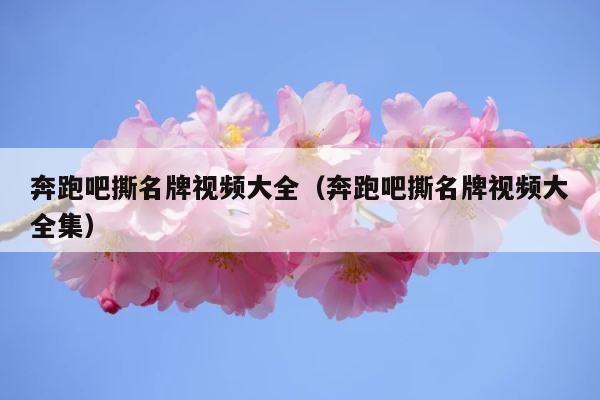 奔跑吧撕名牌视频大全（奔跑吧撕名牌视频大全集） 第1张