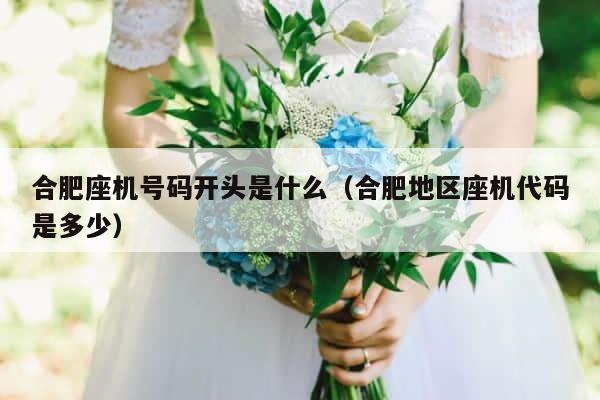 合肥座机号码开头是什么（合肥地区座机代码是多少） 第1张