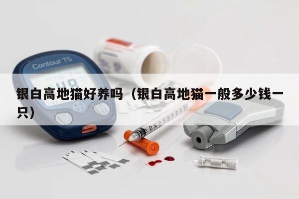 银白高地猫好养吗（银白高地猫一般多少钱一只） 第1张