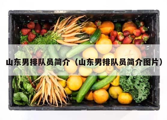 山东男排队员简介（山东男排队员简介图片） 第1张