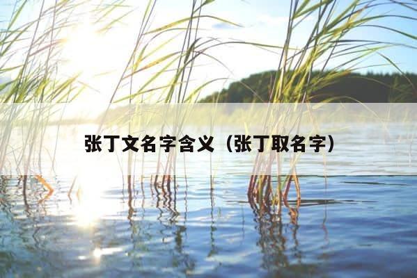 张丁文名字含义（张丁取名字） 第1张