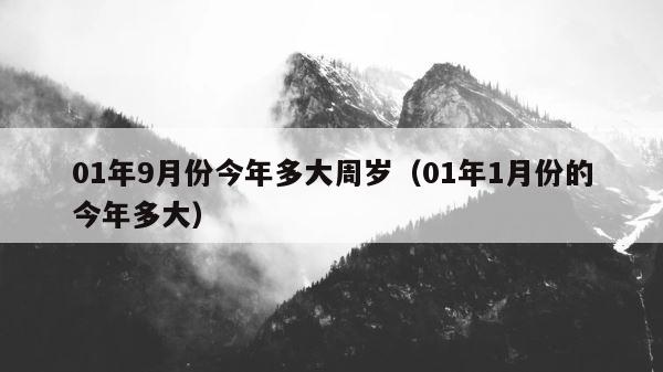 01年9月份今年多大周岁（01年1月份的今年多大） 第1张