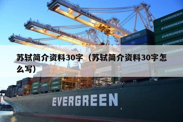 苏轼简介资料30字（苏轼简介资料30字怎么写） 第1张