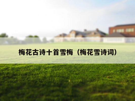 梅花古诗十首雪梅（梅花雪诗词） 第1张