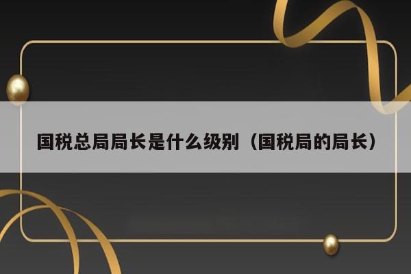 国税总局局长是什么级别（国税局的局长） 第1张