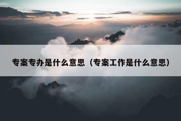 专案专办是什么意思（专案工作是什么意思） 第1张