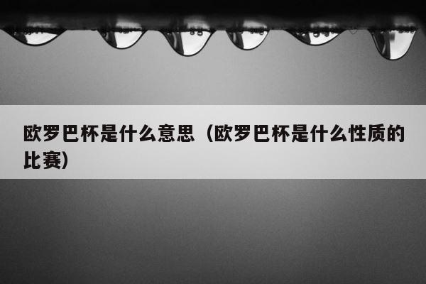 欧罗巴杯是什么意思（欧罗巴杯是什么性质的比赛） 第1张