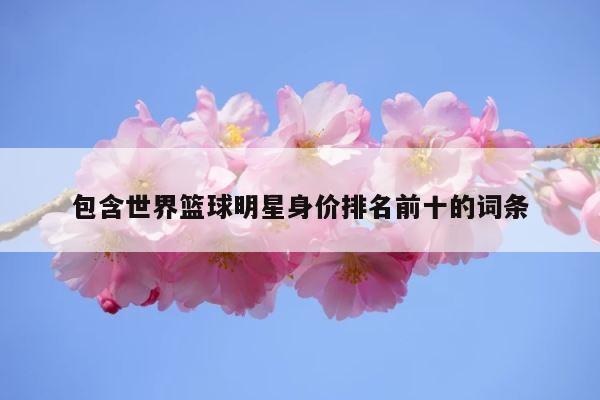 包含世界篮球明星身价排名前十的词条 第1张
