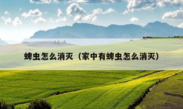 蜱虫怎么消灭（家中有蜱虫怎么消灭） 第1张