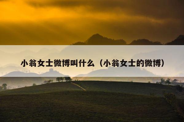 小翁女士微博叫什么（小翁女士的微博） 第1张