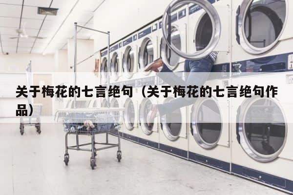 关于梅花的七言绝句（关于梅花的七言绝句作品） 第1张
